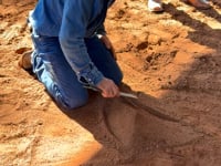 Related Embedded Video Item Thumbnail