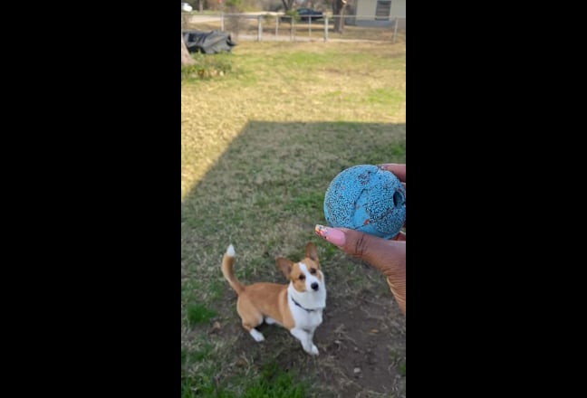 Roommate Wanted  Main Photo