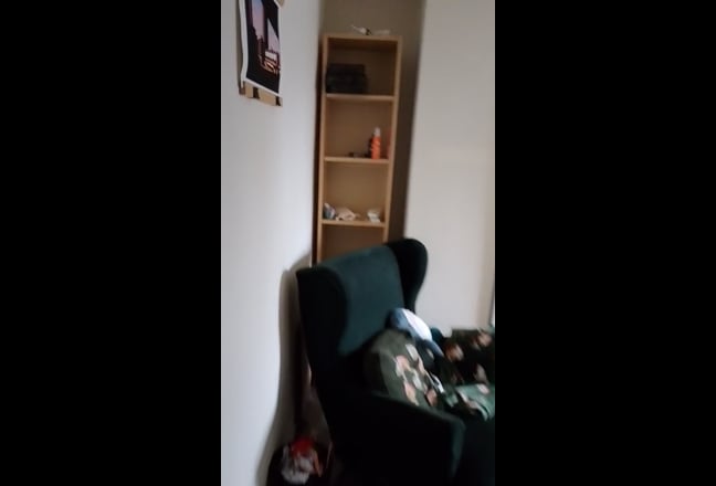 Double Room in a Quiet Spacious Homely Flat Main Photo