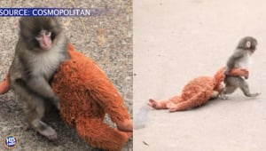 Trending Tuesday Feb 24