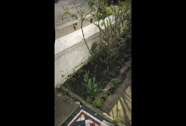 Home sweet home - no houses like this in London Main Photo