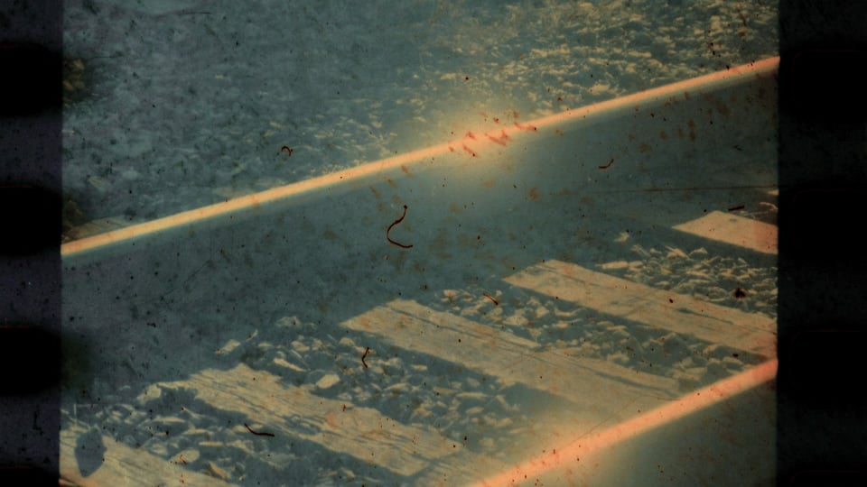 Salvage Archives