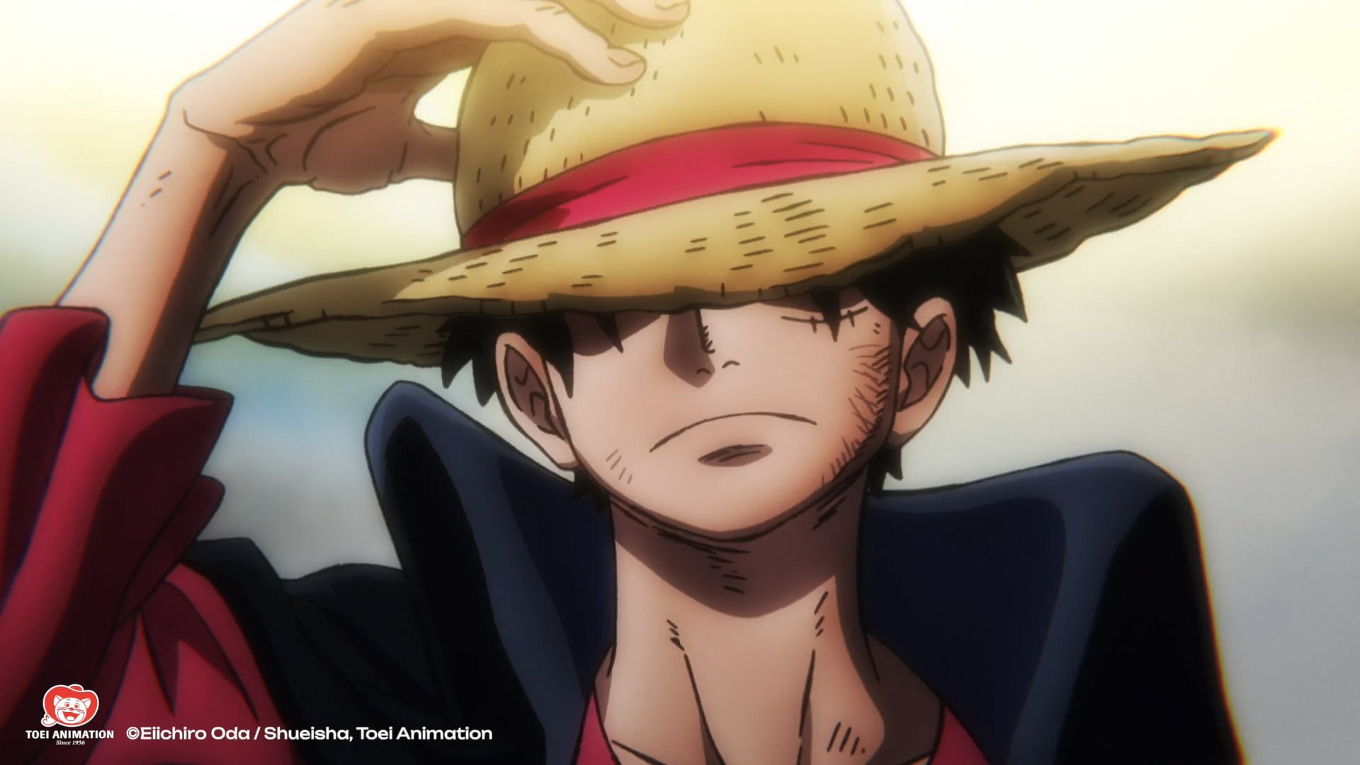 "ONE PIECE" ADN Promo #3