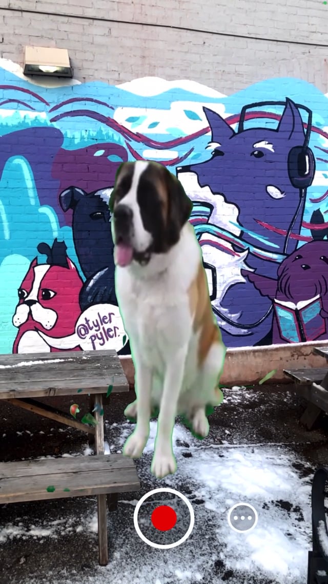 Dogs of Durand