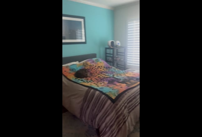 Beautiful Santa Monica Townhouse Main Photo