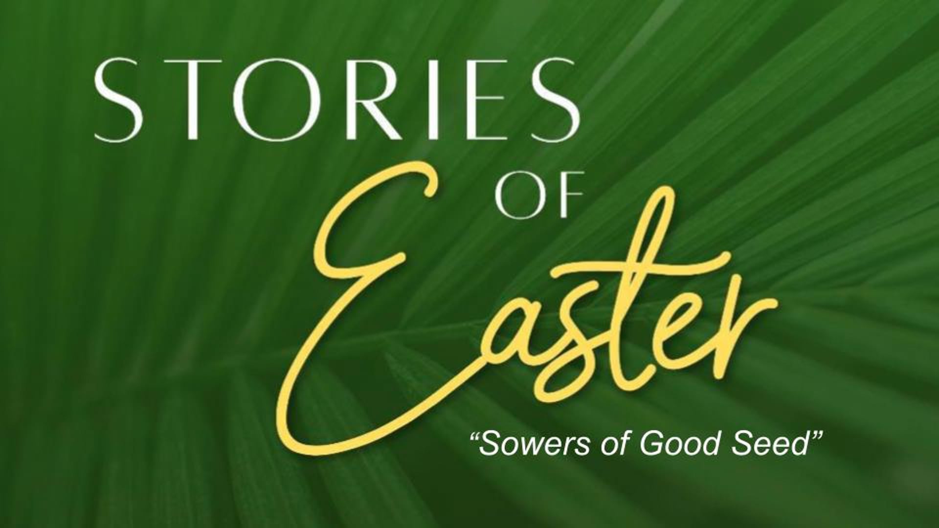 Sowers of Good Seed | February 22, 2026