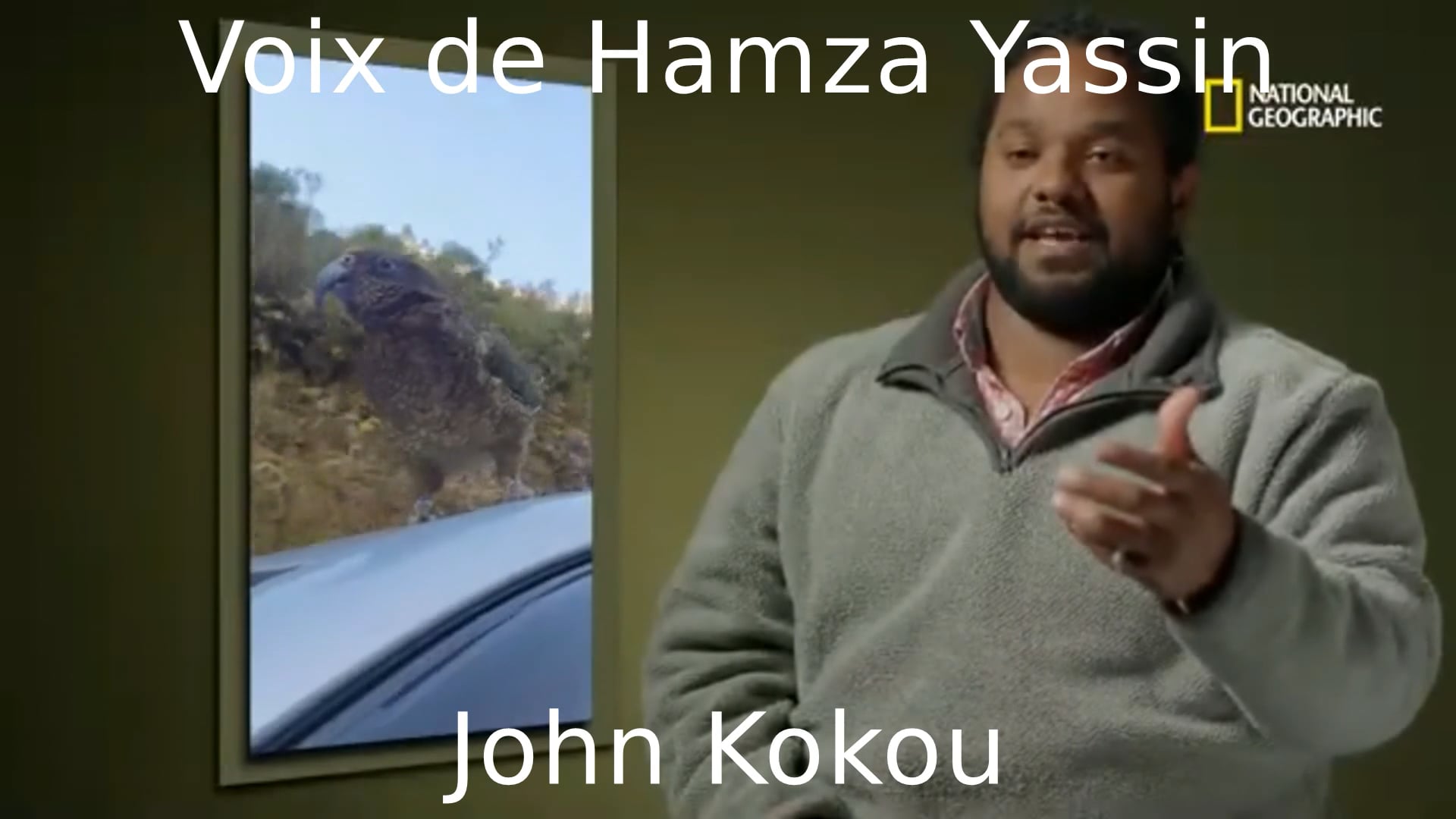 Vidéo Rencontres à haut risque - extrait Perroquet