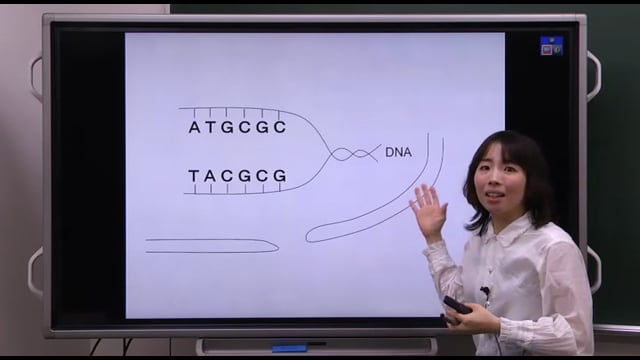 看護・医療系対策／生物基礎 ＊高校進度と同内容