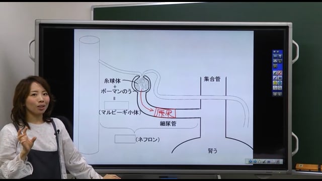 頻出生物ファイナルチェック