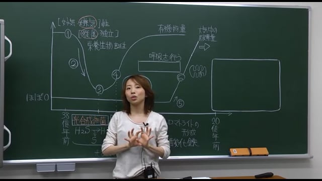 ボトムアップ生物