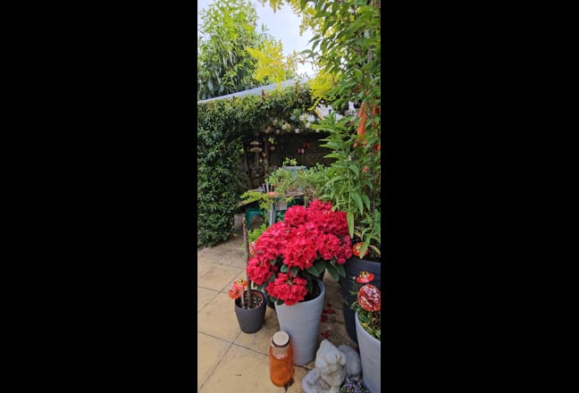 Single Room, Spacious House in Didcot  Main Photo