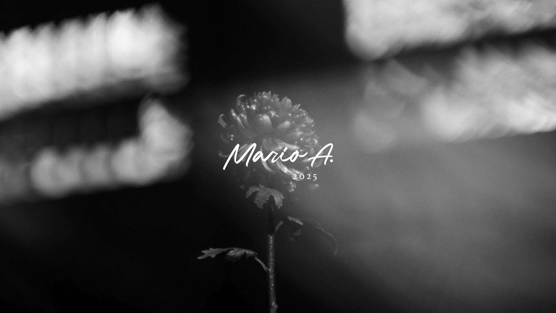 Mario Amarilla - Reel 2025