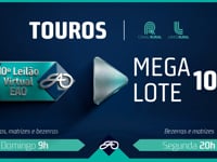 LOTE 107 MEGA LOTE
