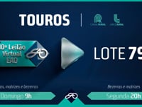 Lote 79