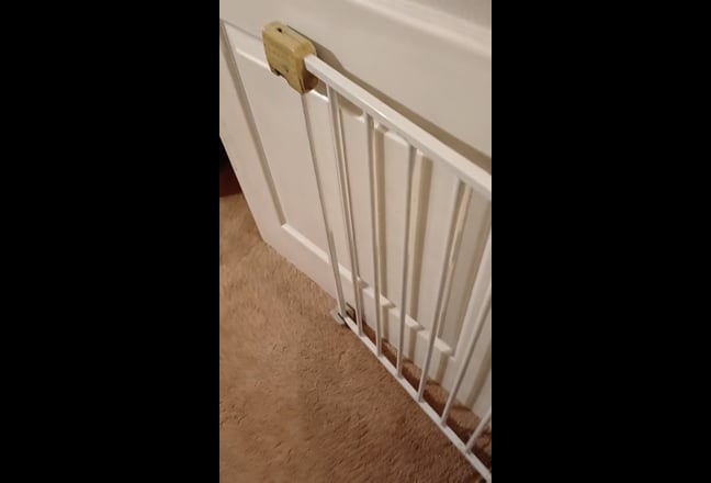 Dog sitter, potter, artist for house share Main Photo