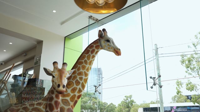 Simba Education Macquarie Park video thumbnail 11