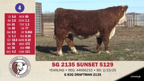 Lot #4 - SG 2135 SUNSET 5129