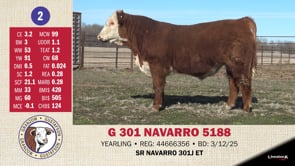 Lot #2 - G 301 NAVARRO 5188
