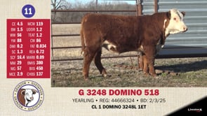 Lot #11 - G 3248 DOMINO 518