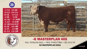 Lot #20 - -G MASTERPLAN 465