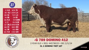 Lot #27 - -G 789 DOMINO 412