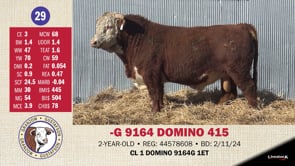 Lot #29 - -G 9164 DOMINO 415