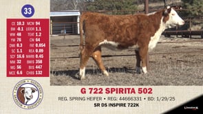Lot #33 - G 722 SPIRITA 502