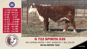 Lot #34 - G 722 SPIRITA 535