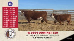Lot #44 - -G 9164 DOMINET 159