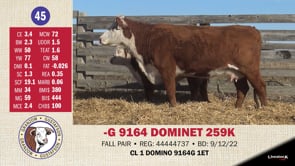 Lot #45 - -G 9164 DOMINET 259K