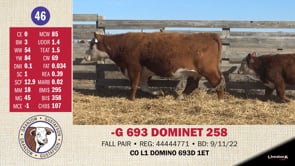 Lot #46 - -G 693 DOMINET 258