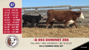 Lot #47 - -G 693 DOMINET 356