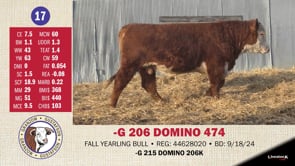 Lot #17 - -G 206 DOMINO 474