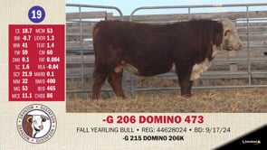 Lot #19 - -G 206 DOMINO 473