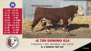 Lot #28 - -G 789 DOMINO 414