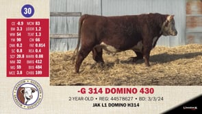 Lot #30 - -G 314 DOMINO 430