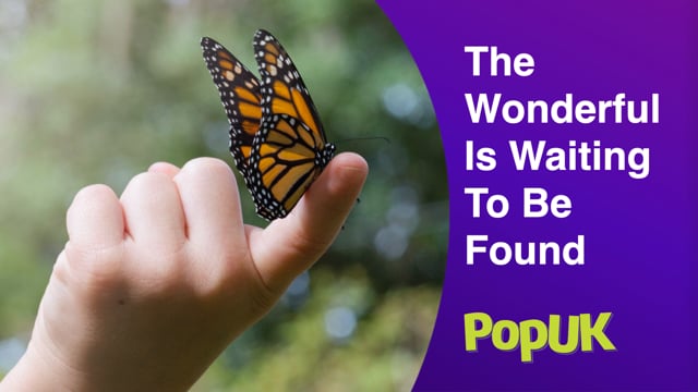 Taster: The Wonderful Is Waiting To Be Found