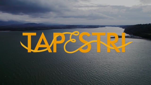 Vimeo Thumbnail (API)