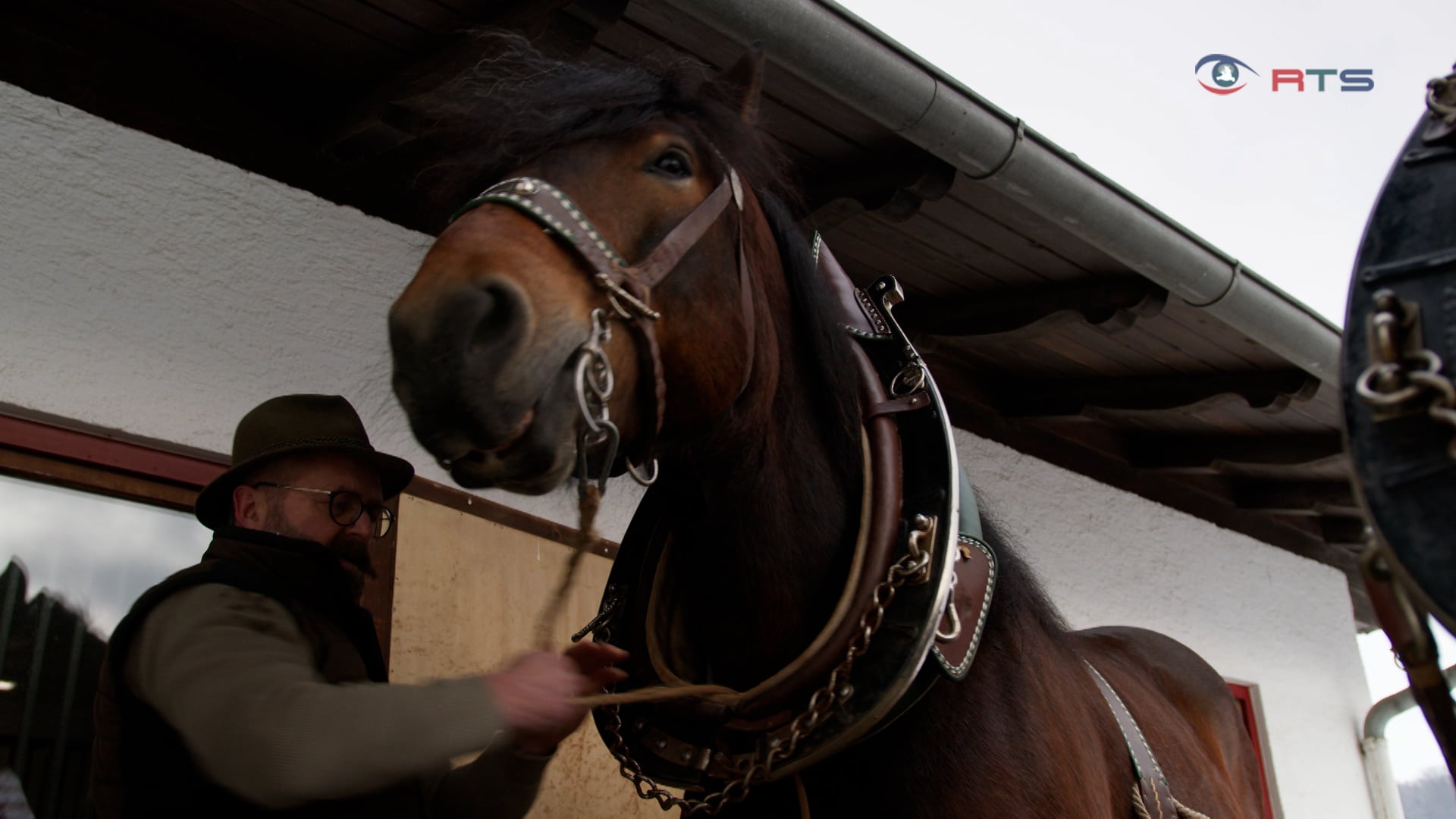 tradition-mit-verantwortung-das-gut-muehllehen-in-elixhausen