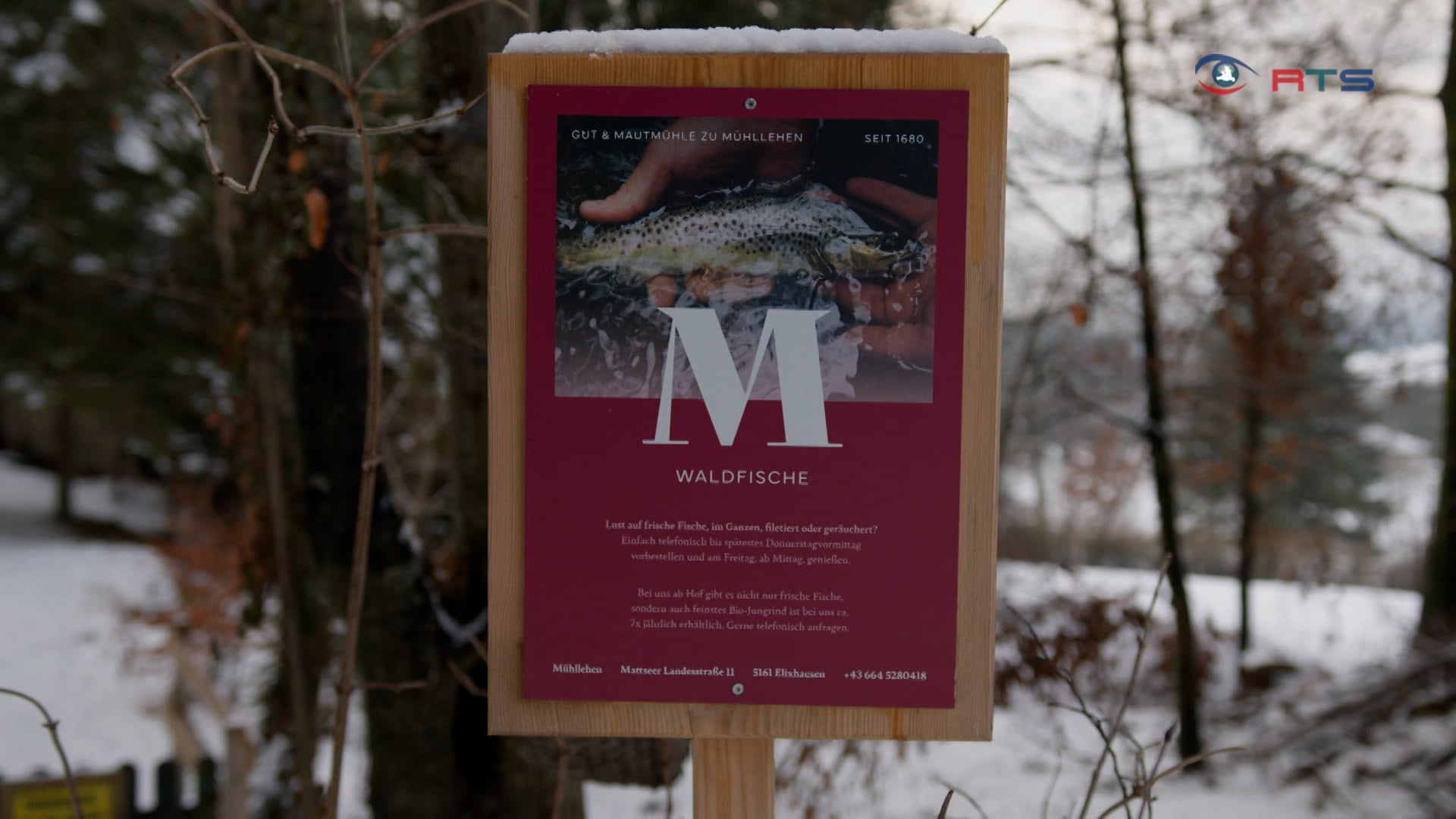 hauseigene-fischzucht-am-gut-muehllehen