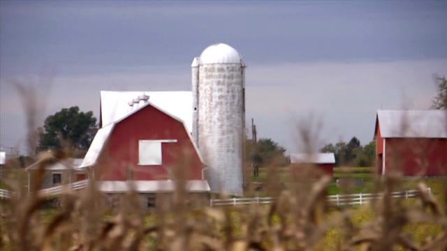 BGE Choice 2011 Directors Cut