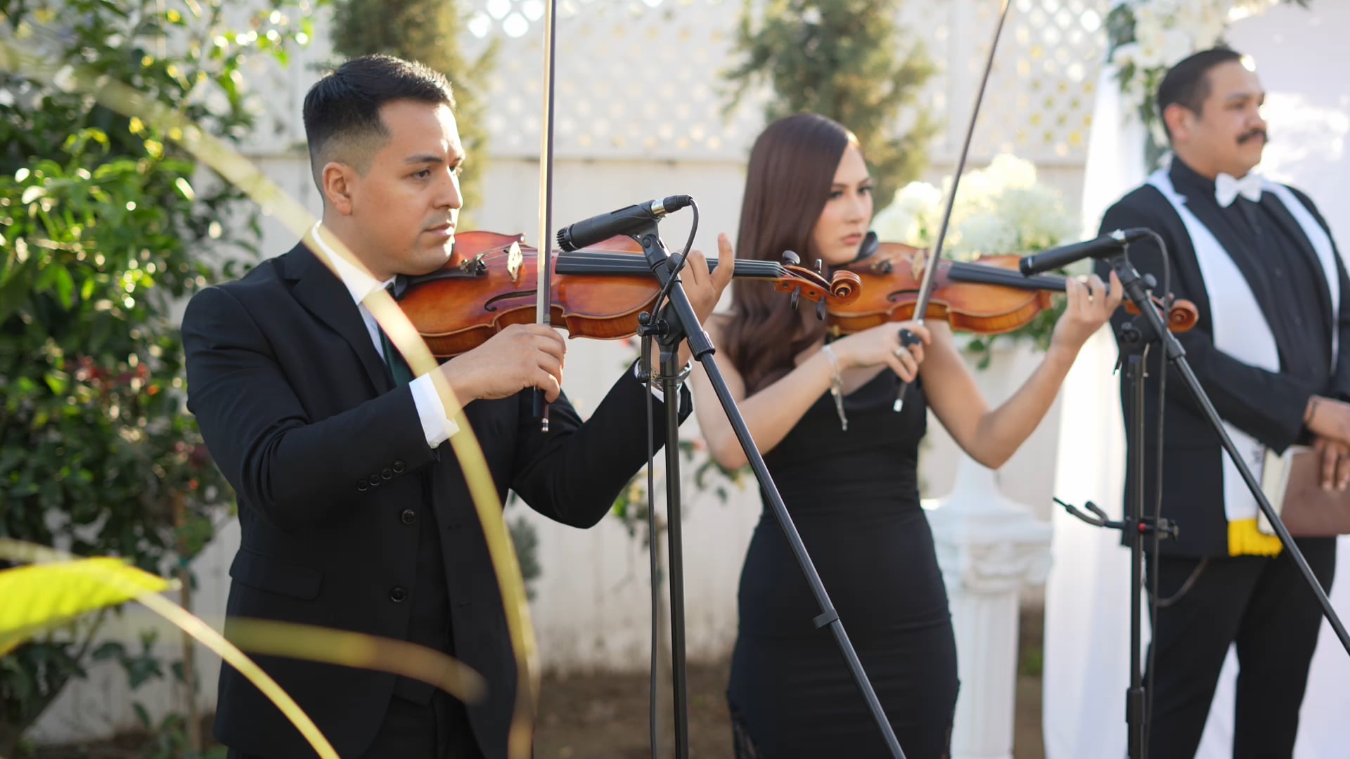 Promotional video thumbnail 1 for RJ Strings