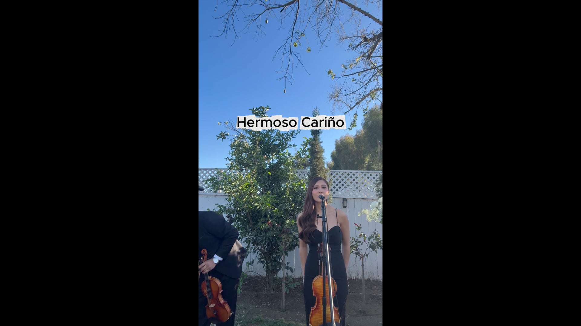 Promotional video thumbnail 2 for RJ Strings