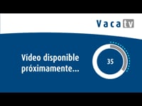 Volver a casa para tomar las riendas de la ganadería familiar