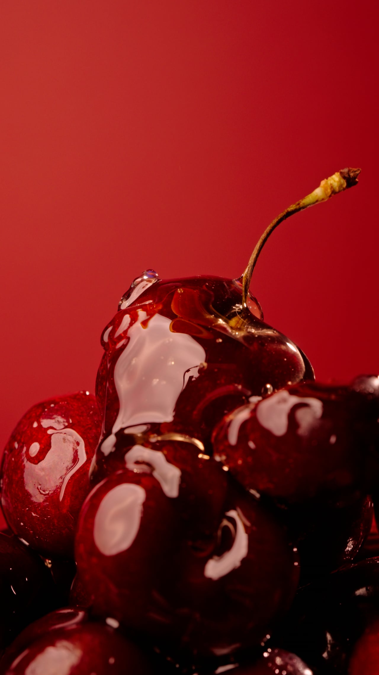 Oden - Baume Cerise