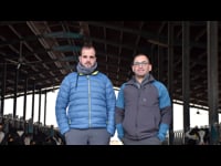 Jóvenes al mando de un rebaño que supera las 1.000 vacas