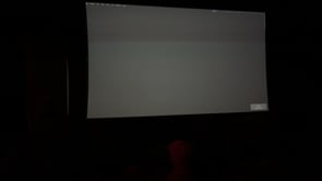 US Lunar New Year 2026