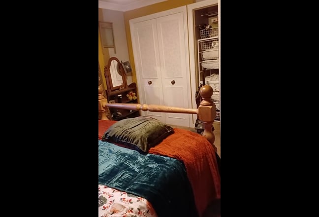 Dog sitter, potter, artist for house share Main Photo