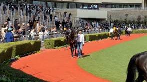 動画サムネイル