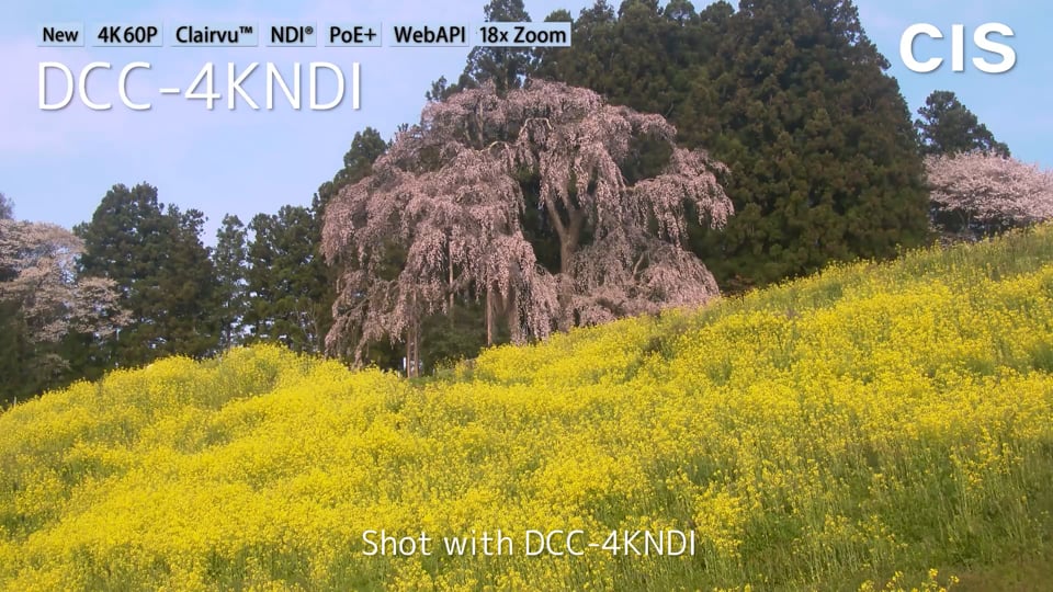 カメラモジュールの撮影サンプル